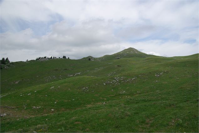 Crêt du Milieu - M.Jacques- OT Terre Valserine