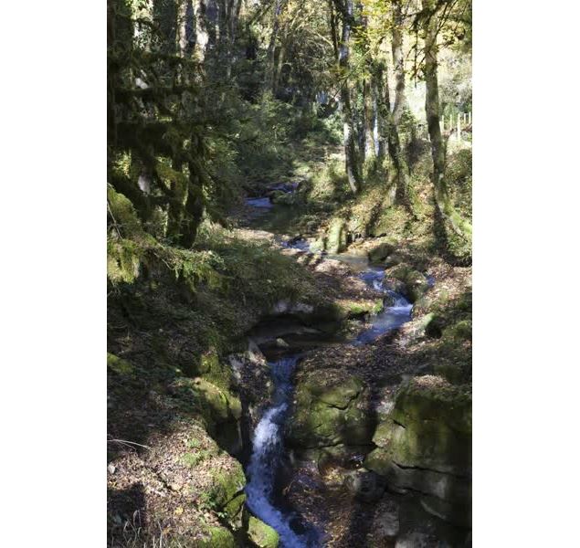 Site de la Pierre Percée à Champfromier - ©Daniel Gillet - OT Terre Valserine