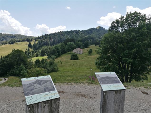 Crêt de chalam depuis la borne au lion - OT-Terre Valserine