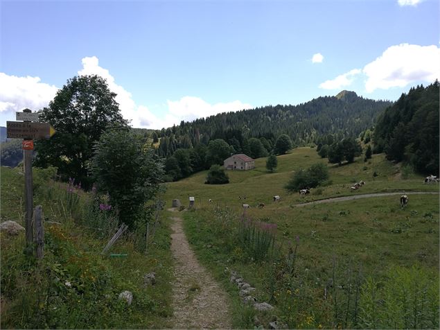 Crêt de Chalam - OT-Terre Valserine