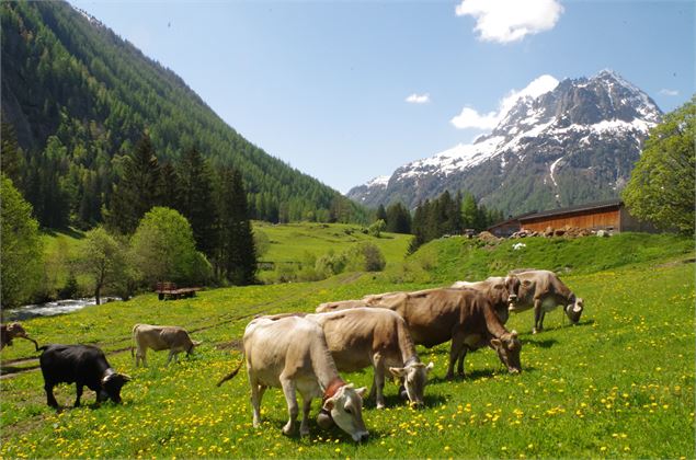 Mont-Blanc Fermes Péda - Daphne Iatropoulos