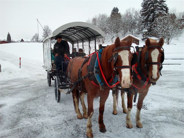 calèche hiver