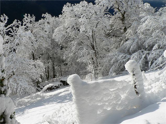 Montasapey en raquettes - OT Porte de Maurienne