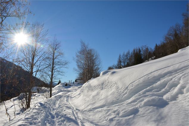 Raquettes à Montsapey - OT Porte de Maurienne