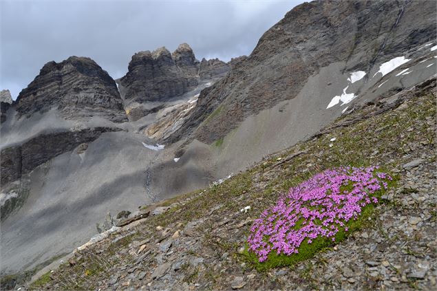 Vallon de Prariond - K.Mandray