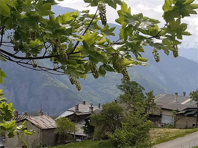 Boucle du Thyl à la Traversaz - Communauté de communes Maurienne Galibier