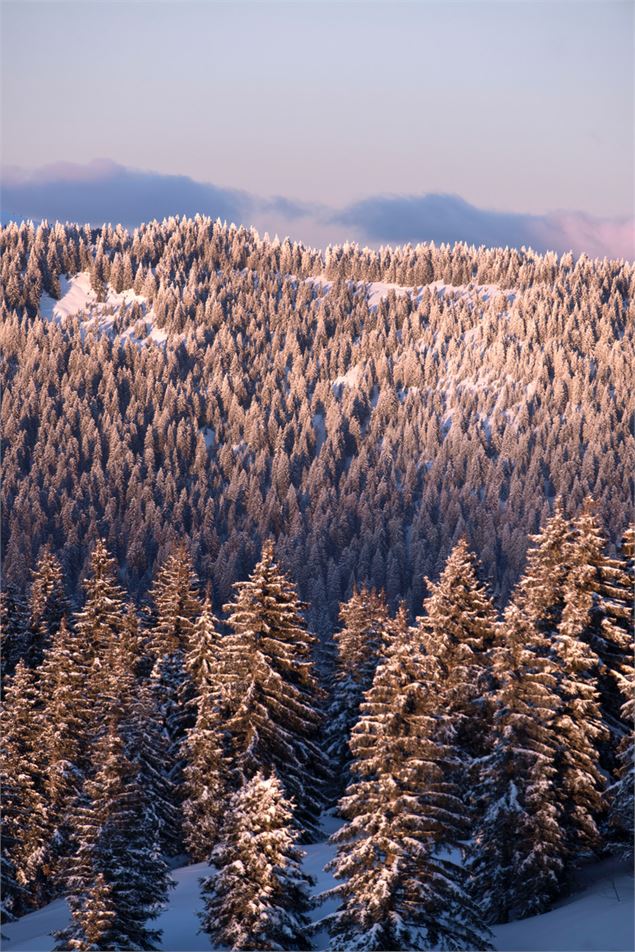 Promenade à Super-Morzine en Hiver