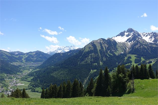 Le Mont de Grange - les Dents du Midi - C.Pierron