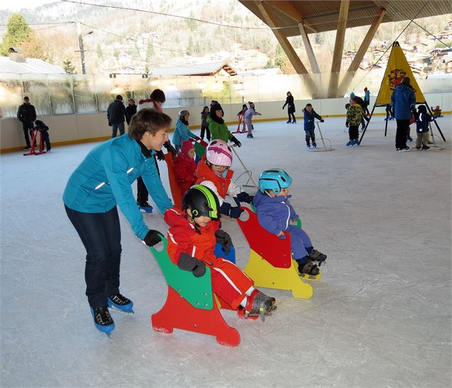 Patinoire - Le jardin de glace - 