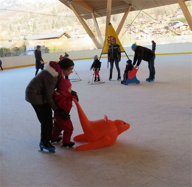 Patinoire - Le jardin de glace - 