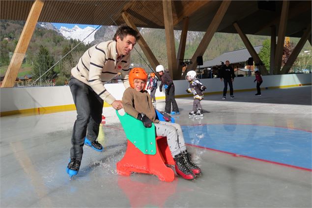 Patinoire - Le jardin de glace - 