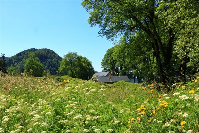 Chalet d'Arvière - Belley Bugey Sud Tourisme