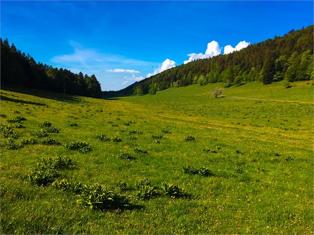 Combe du cimetière - Belley Bugey Sud Tourisme