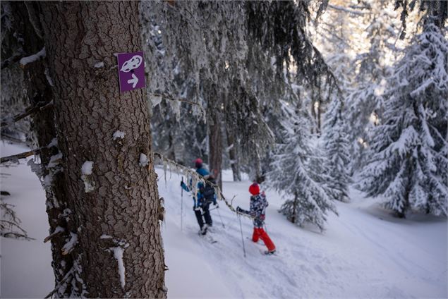 Une belle balade en pleine forêt - A.Abondance