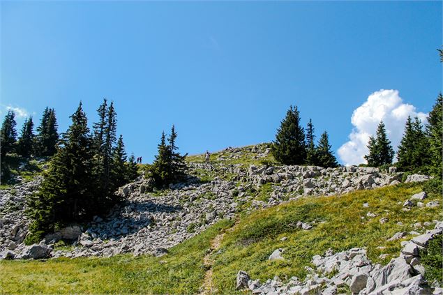 Boucle de Leschaux - Faucigny Glières Tourisme