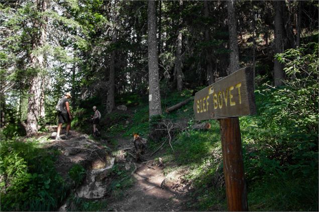 Un sentier bien balisé en pleine forêt - Philippe Gal