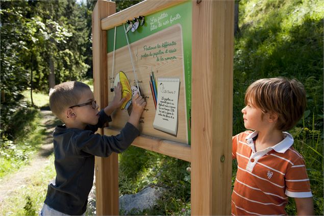 Biodiversité été - Philippe Gal