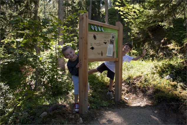 Biodiversité été - Philippe Gal