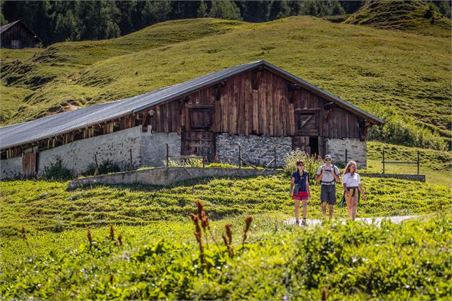 Au milieu des chalets d'alpage - OTGP