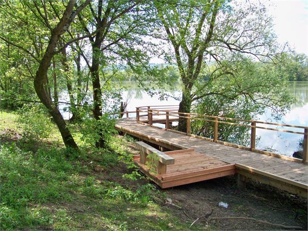 Ponton de pêche à Saint-Bernard - Communauté de Communes Dombes Saône Vallée