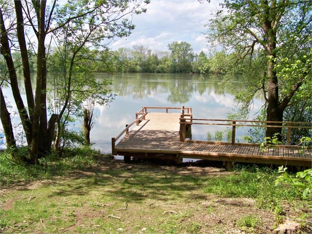 Ponton de pêche à Saint-Bernard - Communauté de Communes Dombes Saône Vallée