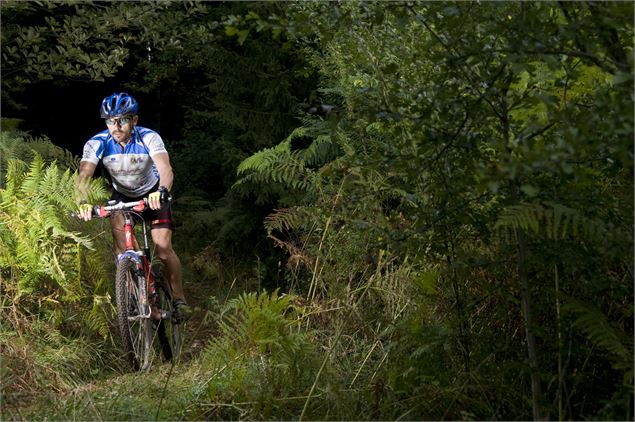 Circuit VTT n°5 (rouge) - De la Bresse des lacs à l'étang Pontremble - DR Propriétaire de l'étang