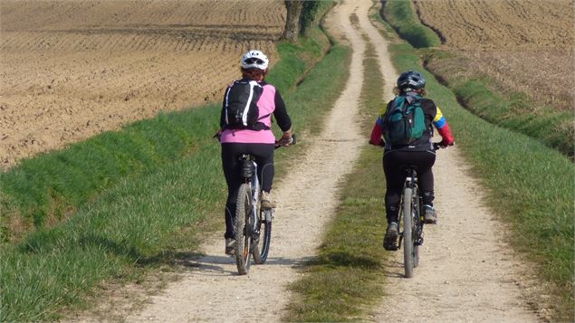 Circuit VTT n°5 (rouge) - De la Bresse des lacs à l'étang Pontremble - DR Propriétaire de l'étang