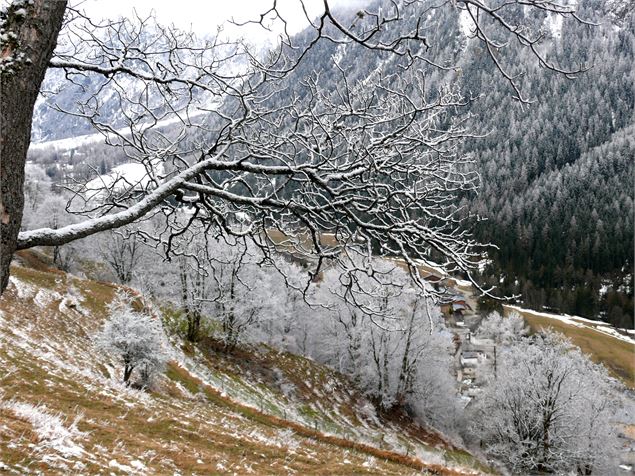 Sentier des noisettes - Office de tourisme de Peisey-Vallandry