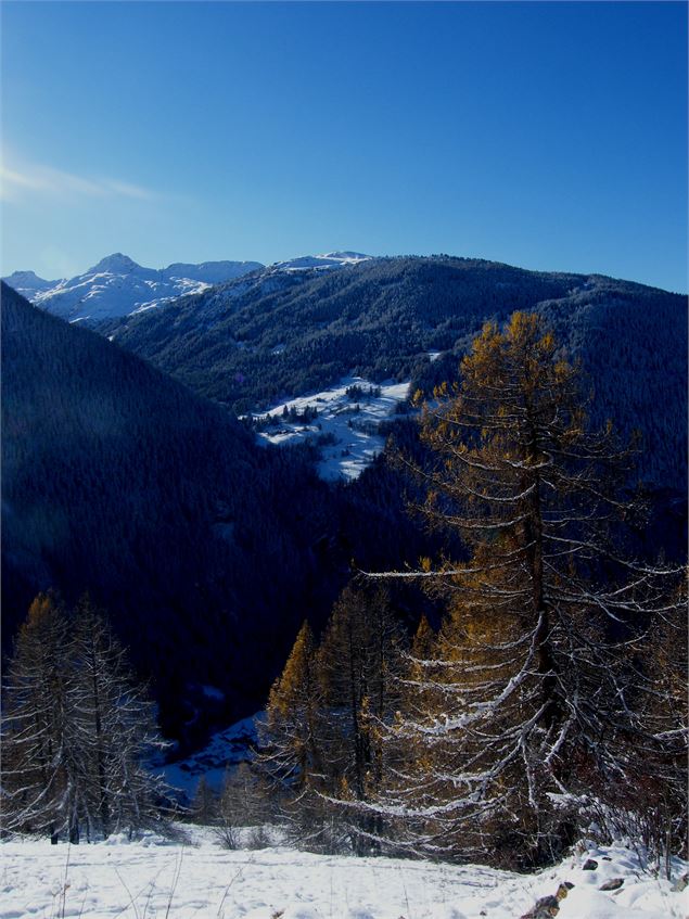 Esserts - Office de tourisme de Peisey-Vallandry