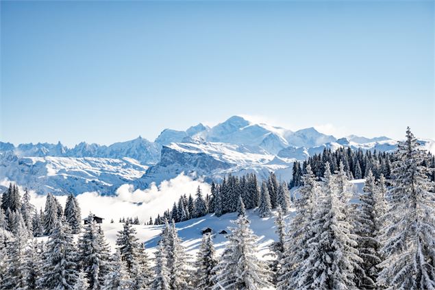 Vue Mont Blanc depuis le Mont Caly - Mel Carle