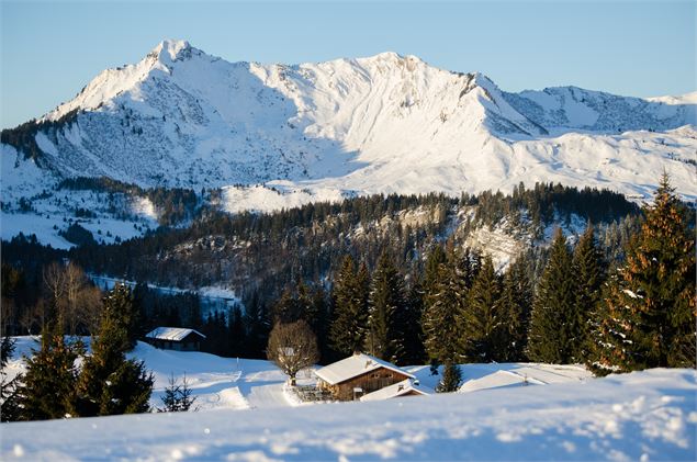 Mont-Caly eneigé - Mel Carle