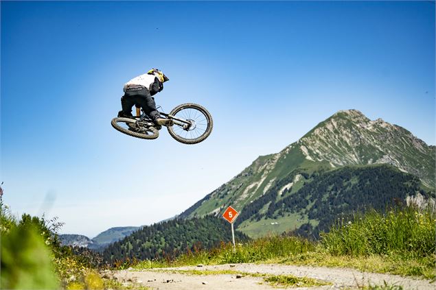 Piste VTT la Vink line- Partie Supérieure - L.Meyer - Châtel