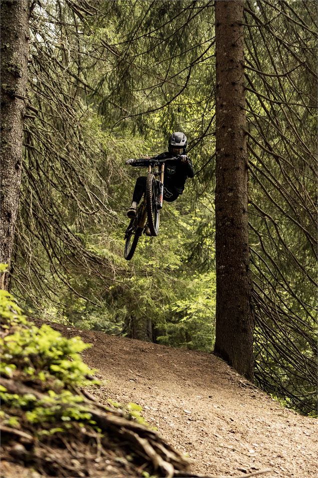 Piste VTT Vink Line partie inférieure -Bike Park de Châtel - L.Meyer - Châtel