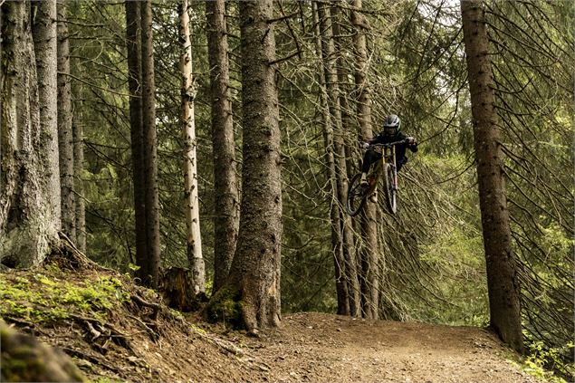 Piste VTT Vink Line partie inférieure -Bike Park de Châtel - L.Meyer - Châtel