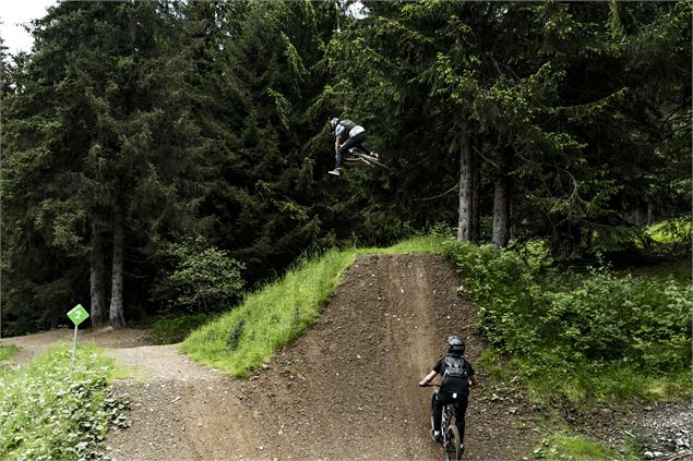 Piste VTT Vink Line partie inférieure -Bike Park de Châtel - L.Meyer - Châtel