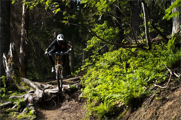 Piste VTT la Bike Patrol - L.Meyer - Châtel