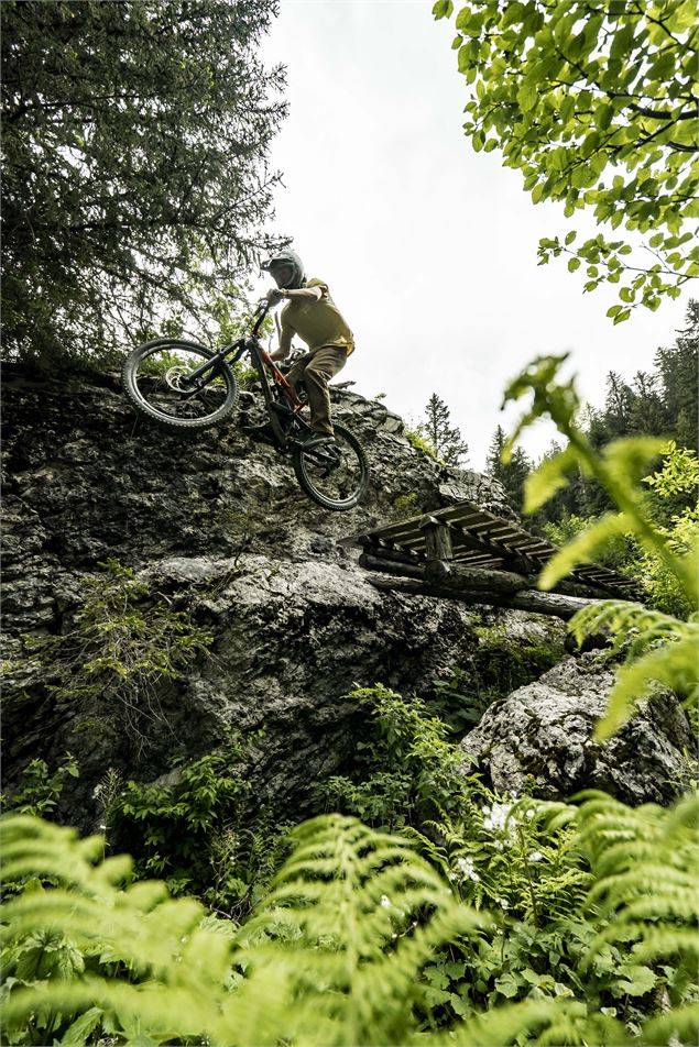 Piste Air Voltage du Bike Park de Châtel - L.Meyer - Châtel