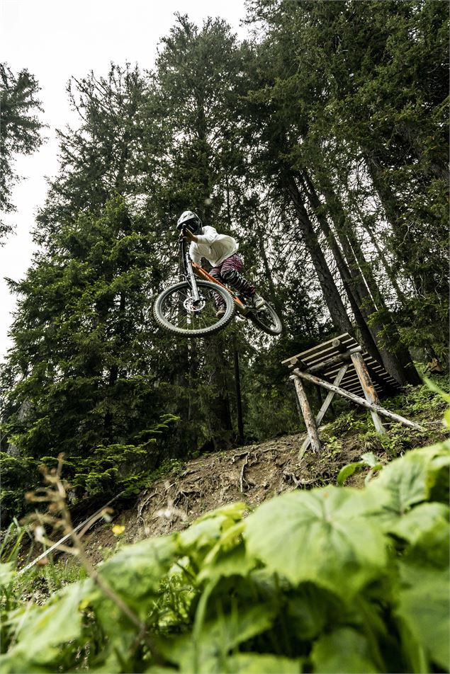 Piste Air Voltage du Bike Park de Châtel - L.Meyer - Châtel