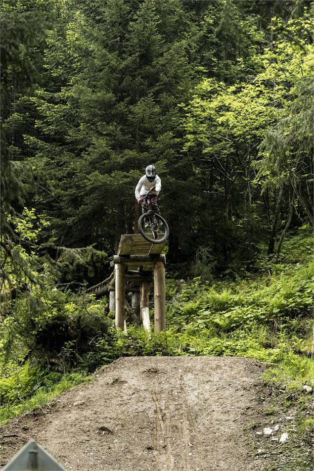 Piste Air Voltage du Bike Park de Châtel - L.Meyer - Châtel