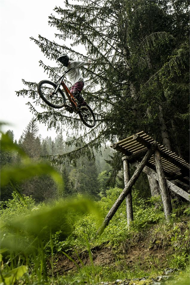 Piste Air Voltage du Bike Park de Châtel - L.Meyer - Châtel