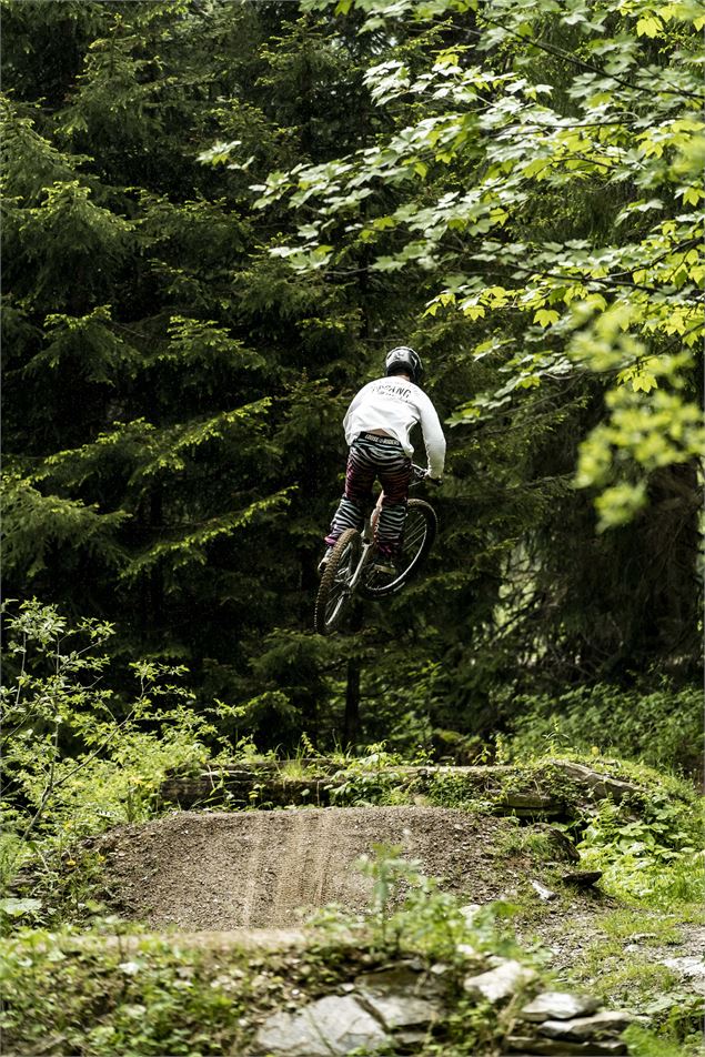 Piste Air Voltage du Bike Park de Châtel - L.Meyer - Châtel