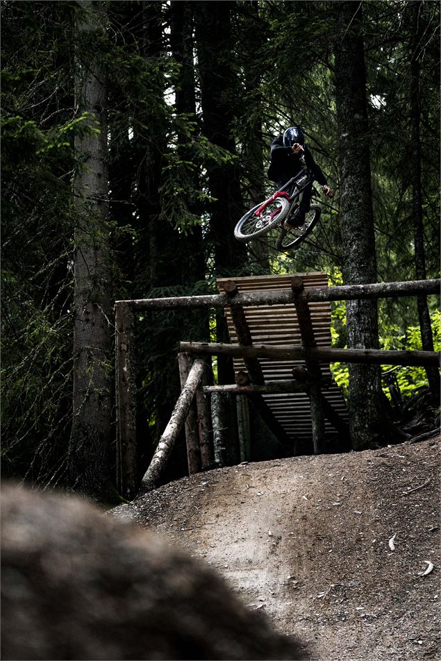 Piste VTT la Black Shore du Bike Park de Châtel - L.Meyer - Châtel