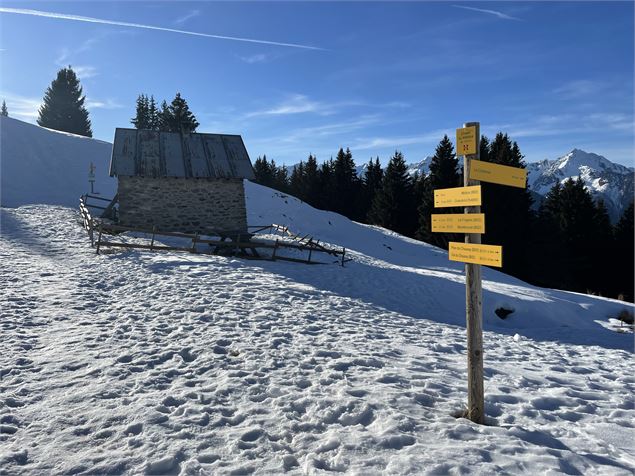 Chalet du Mélèze - EKISSEL