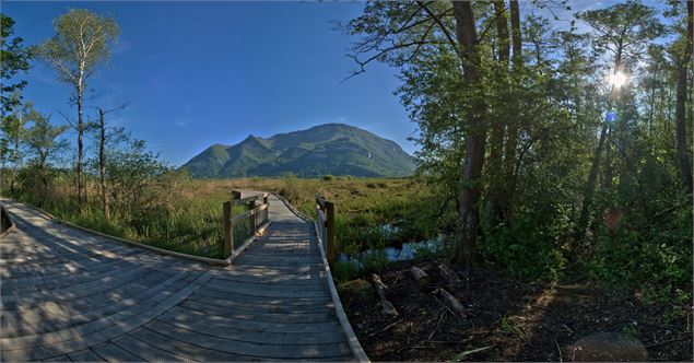 Sentier sur pilotis - Maison du Marais