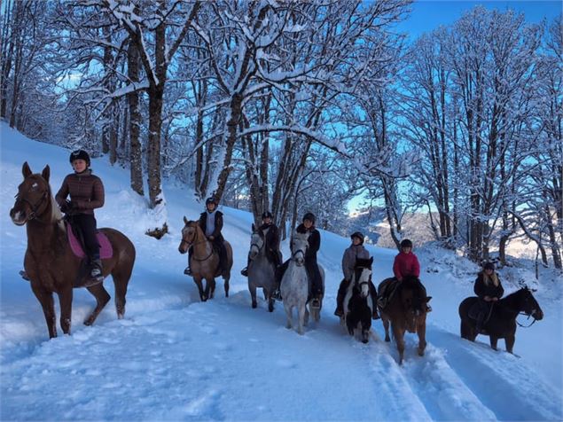 Aravis Équitation