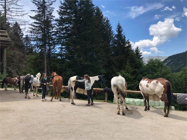 Aravis Équitation