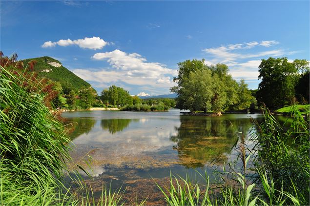 Pêche au lac de La Balme de Sillingy - Yan-Gaëtan Olivo