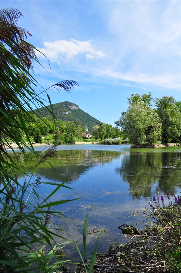 Pêche au lac de La Balme de Sillingy - Yan-Gaëtan Olivo