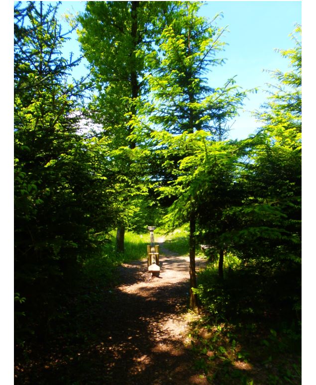 Parcours de santé de Choisy - Mairie de Choisy