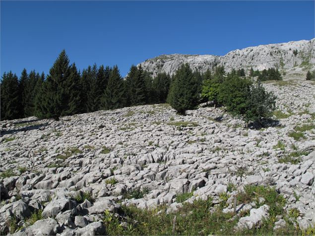 Lapiaz du Roc des Tours - Jacques PIETU